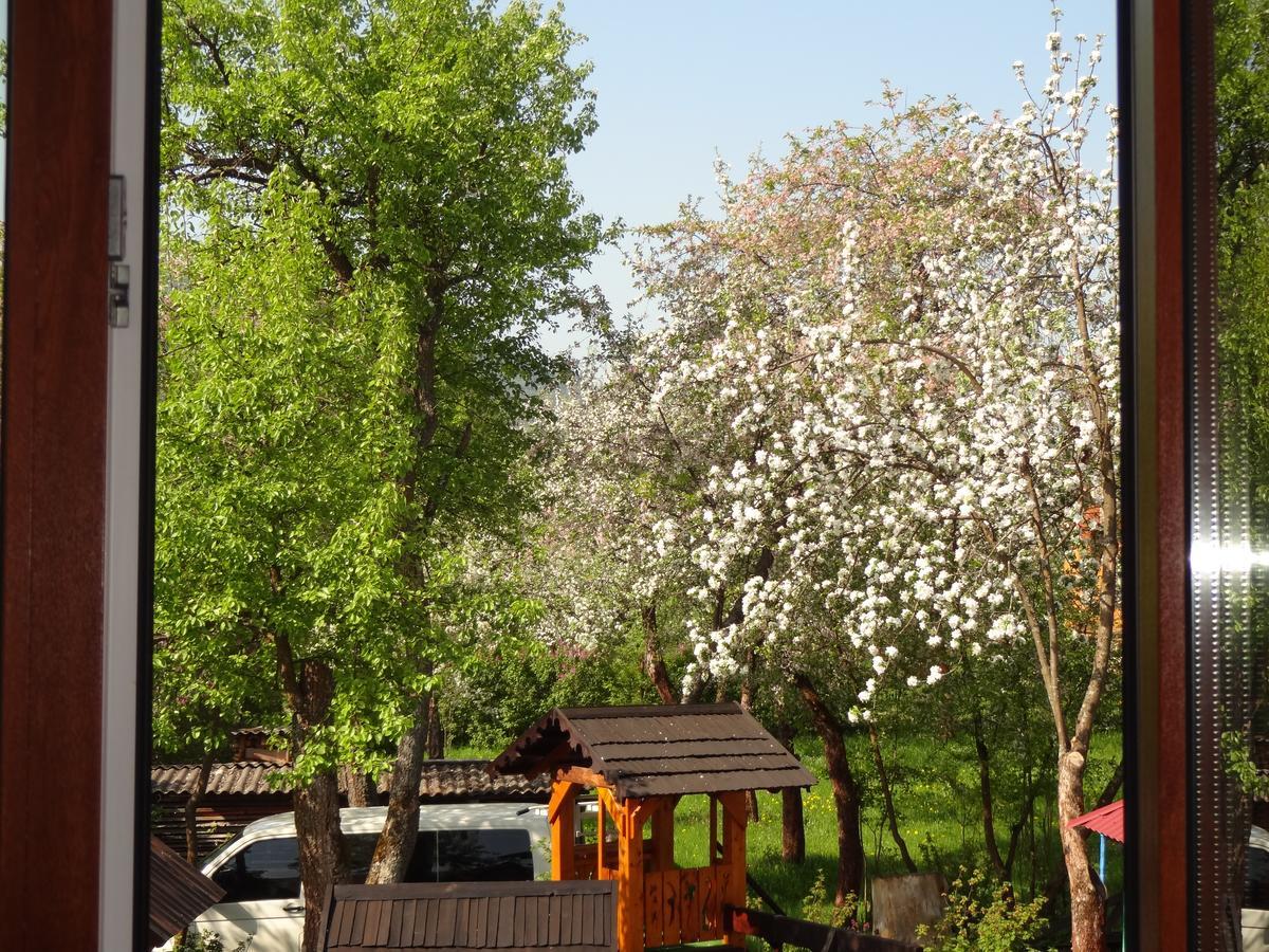 Котедж-Шале Елітний Slavske Exterior foto